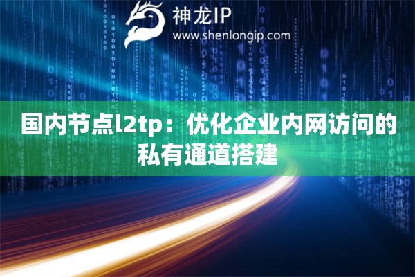 國(guó)內(nèi)節(jié)點(diǎn)l2tp：優(yōu)化企業(yè)內(nèi)網(wǎng)訪問的私有通道搭建