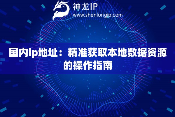 國(guó)內(nèi)ip地址：精準(zhǔn)獲取本地?cái)?shù)據(jù)資源的操作指南
