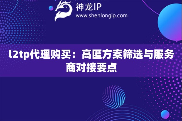 l2tp代理購買：高匿方案篩選與服務(wù)商對(duì)接要點(diǎn)