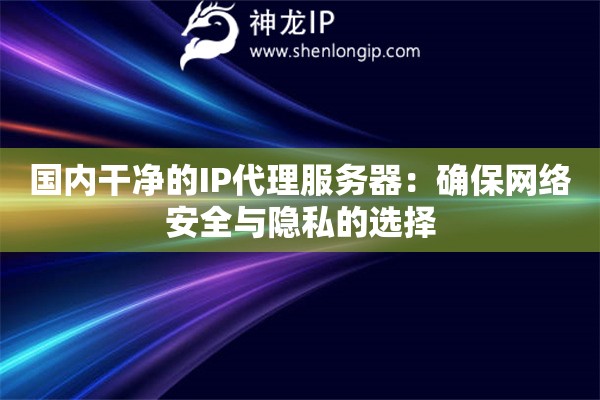 國內干凈的IP代理服務器：確保網絡安全與隱私的選擇