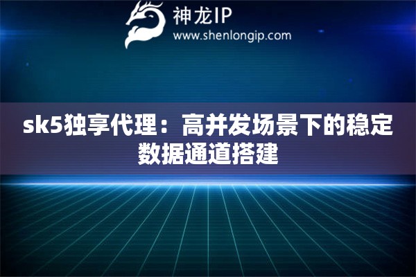 sk5獨(dú)享代理：高并發(fā)場(chǎng)景下的穩(wěn)定數(shù)據(jù)通道搭建