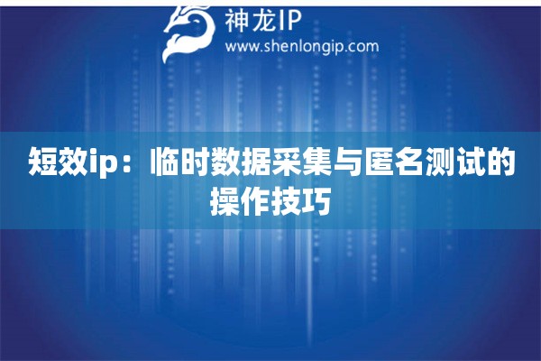 短效ip：臨時數據采集與匿名測試的操作技巧