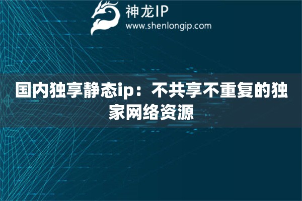 國內獨享靜態ip：不共享不重復的獨家網絡資源