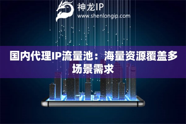 國內代理IP流量池：海量資源覆蓋多場景需求