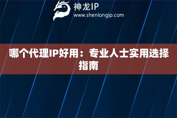 哪個代理IP好用：專業人士實用選擇指南