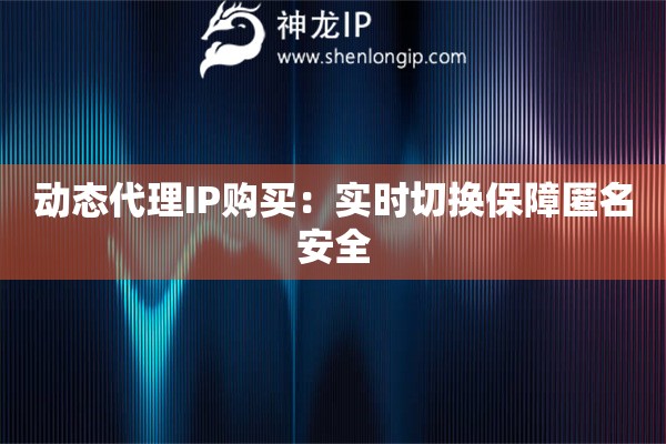 動態代理IP購買：實時切換保障匿名安全