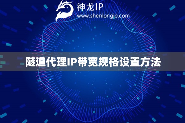 隧道代理IP帶寬規(guī)格設(shè)置方法