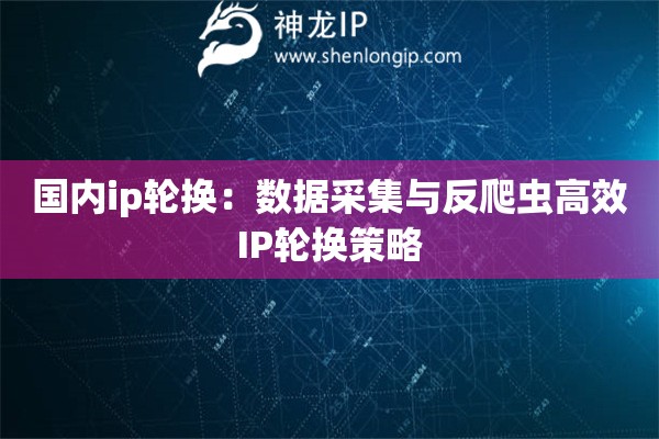 國內ip輪換：數據采集與反爬蟲高效IP輪換策略