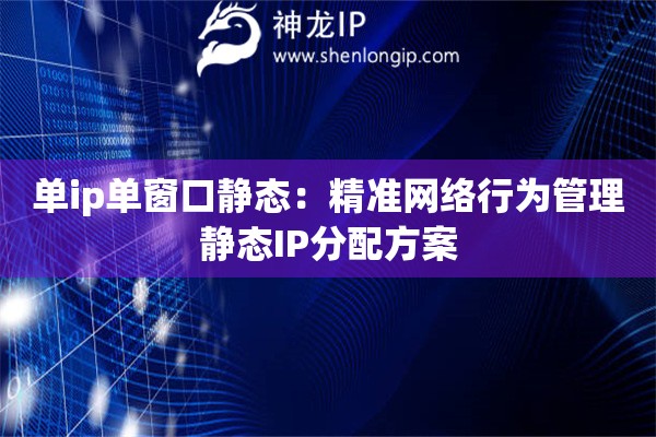 單ip單窗口靜態(tài)：精準網絡行為管理靜態(tài)IP分配方案