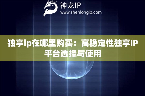 獨享ip在哪里購買：高穩(wěn)定性獨享IP平臺選擇與使用