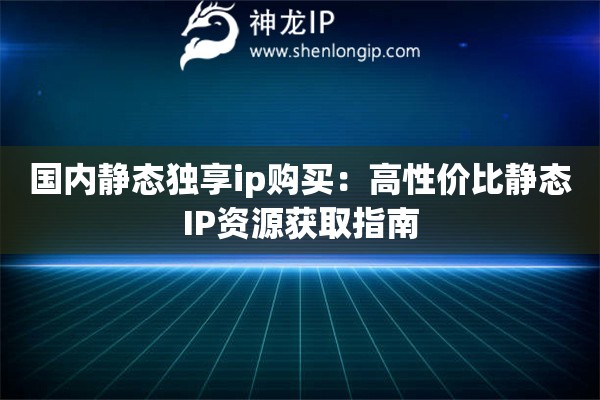 國內靜態獨享ip購買：高性價比靜態IP資源獲取指南