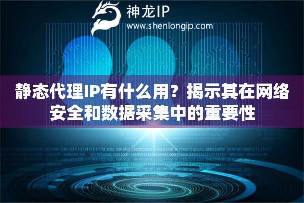 靜態代理IP有什么用？揭示其在網絡安全和數據采集中的重要性
