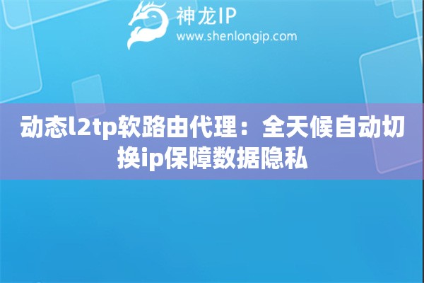 動態l2tp軟路由代理：全天候自動切換ip保障數據隱私