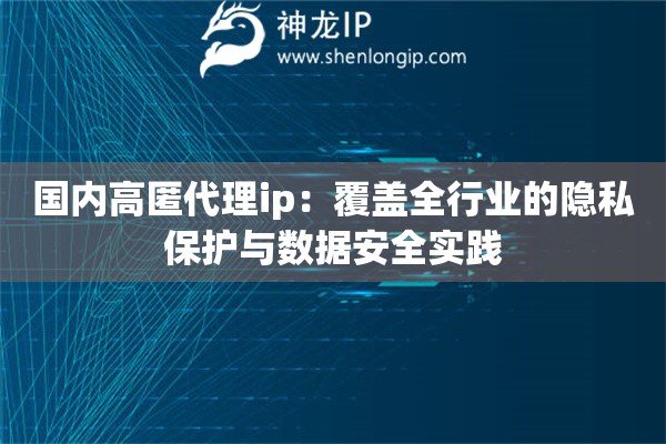 國(guó)內(nèi)高匿代理ip：覆蓋全行業(yè)的隱私保護(hù)與數(shù)據(jù)安全實(shí)踐