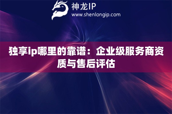 獨(dú)享ip哪里的靠譜：企業(yè)級服務(wù)商資質(zhì)與售后評估