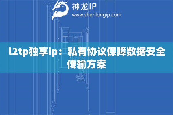 l2tp獨享ip：私有協議保障數據安全傳輸方案