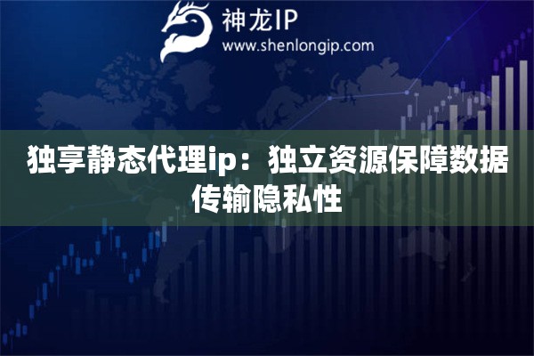 獨享靜態代理ip：獨立資源保障數據傳輸隱私性
