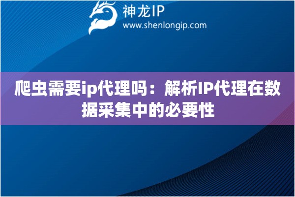 爬蟲需要ip代理嗎：解析IP代理在數(shù)據(jù)采集中的必要性