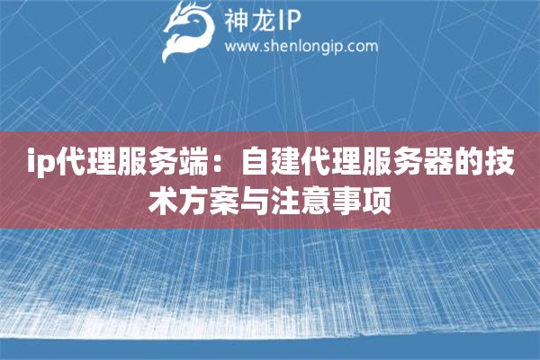 ip代理服務(wù)端：自建代理服務(wù)器的技術(shù)方案與注意事項