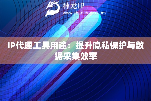 IP代理工具用途：提升隱私保護(hù)與數(shù)據(jù)采集效率