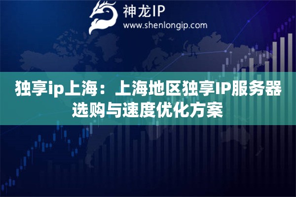 獨(dú)享ip上海：上海地區(qū)獨(dú)享IP服務(wù)器選購與速度優(yōu)化方案