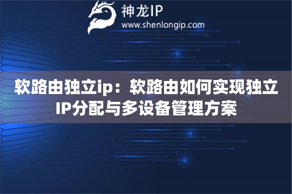 軟路由獨(dú)立ip：軟路由如何實(shí)現(xiàn)獨(dú)立IP分配與多設(shè)備管理方案