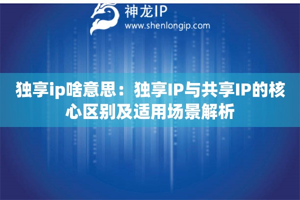 獨享ip啥意思：獨享IP與共享IP的核心區別及適用場景解析