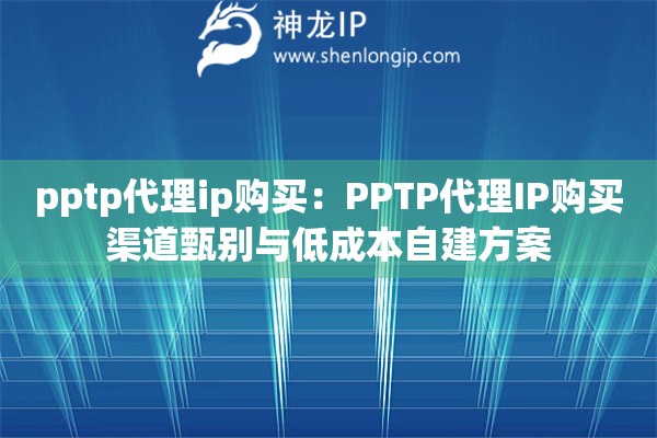 pptp代理ip購(gòu)買：PPTP代理IP購(gòu)買渠道甄別與低成本自建方案