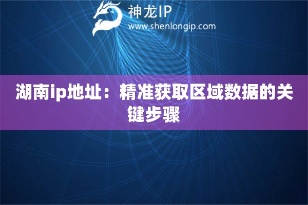 湖南ip地址：精準(zhǔn)獲取區(qū)域數(shù)據(jù)的關(guān)鍵步驟