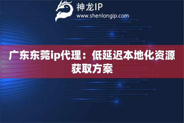 廣東東莞ip代理：低延遲本地化資源獲取方案