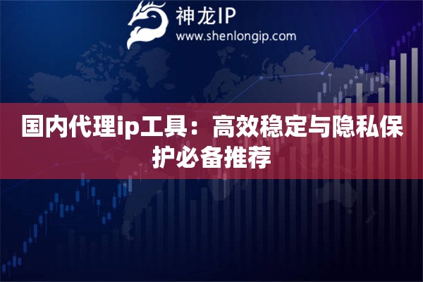 國內代理ip工具：高效穩(wěn)定與隱私保護必備推薦