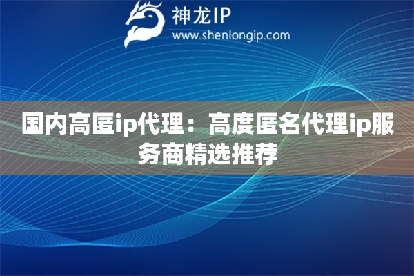 國內高匿ip代理：高度匿名代理ip服務商精選推薦