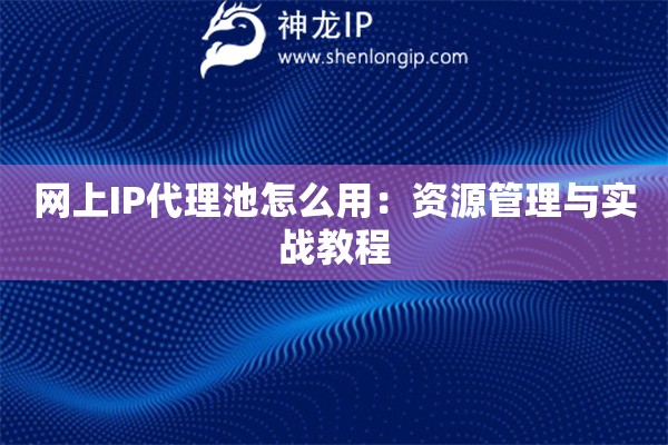 網上IP代理池怎么用：資源管理與實戰教程