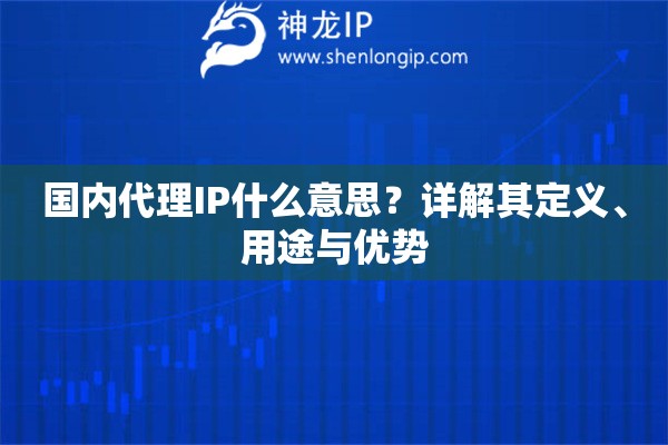 國內(nèi)代理IP什么意思？詳解其定義、用途與優(yōu)勢