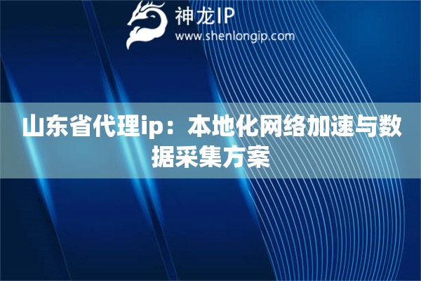 山東省代理ip：本地化網(wǎng)絡(luò)加速與數(shù)據(jù)采集方案