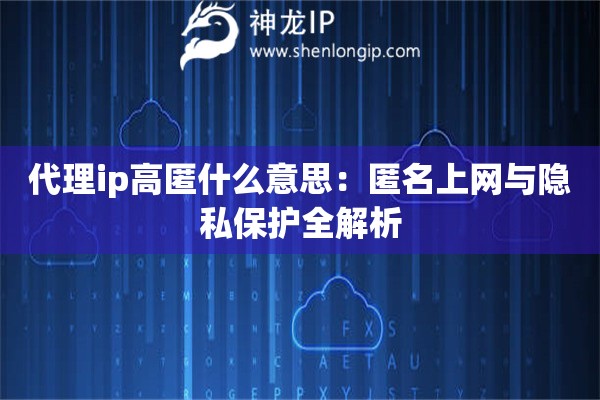 代理ip高匿什么意思：匿名上網(wǎng)與隱私保護(hù)全解析