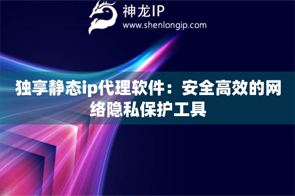 獨(dú)享靜態(tài)ip代理軟件：安全高效的網(wǎng)絡(luò)隱私保護(hù)工具