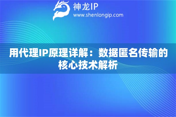 用代理IP原理詳解：數據匿名傳輸的核心技術解析