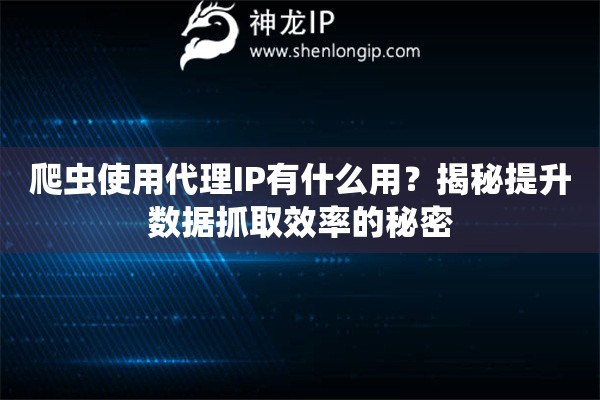 爬蟲使用代理IP有什么用？揭秘提升數據抓取效率的秘密