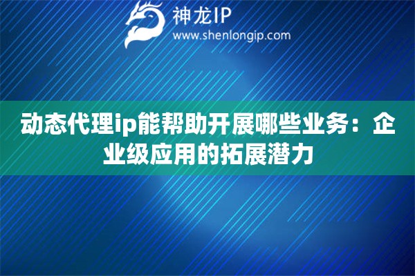 動態代理ip能幫助開展哪些業務：企業級應用的拓展潛力