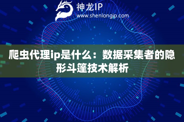 爬蟲(chóng)代理ip是什么：數(shù)據(jù)采集者的隱形斗篷技術(shù)解析