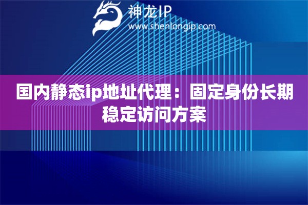 國內(nèi)靜態(tài)ip地址代理：固定身份長期穩(wěn)定訪問方案
