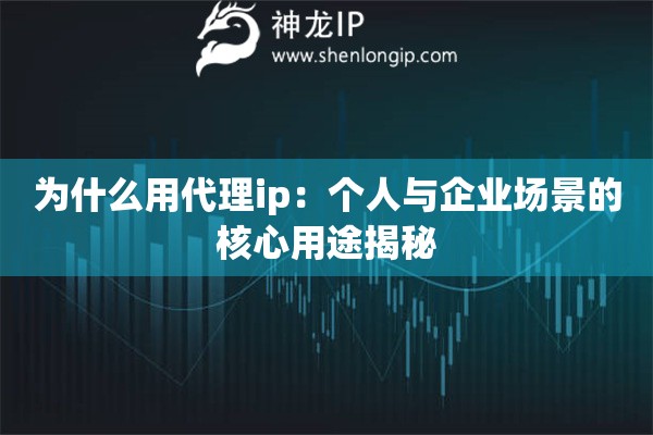 為什么用代理ip：個人與企業(yè)場景的核心用途揭秘