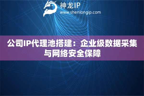 公司IP代理池搭建：企業級數據采集與網絡安全保障