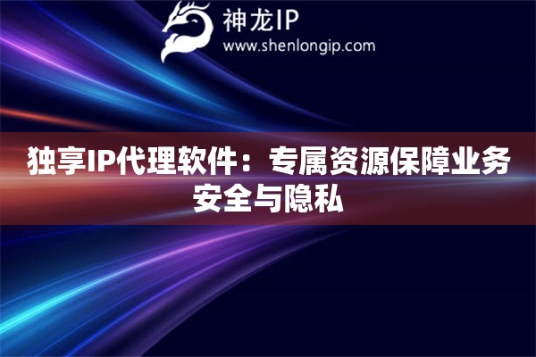 獨(dú)享IP代理軟件：專屬資源保障業(yè)務(wù)安全與隱私