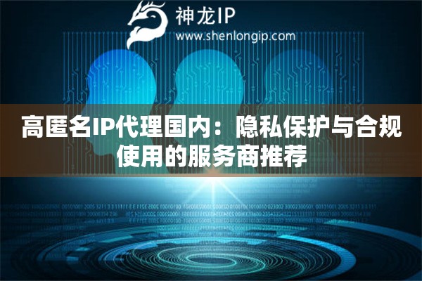 高匿名IP代理國內：隱私保護與合規使用的服務商推薦