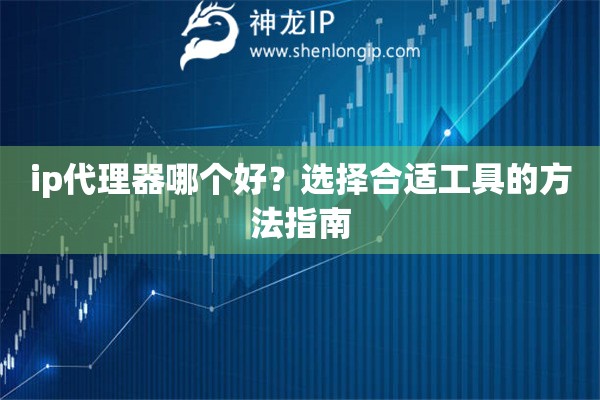 ip代理器哪個好？選擇合適工具的方法指南