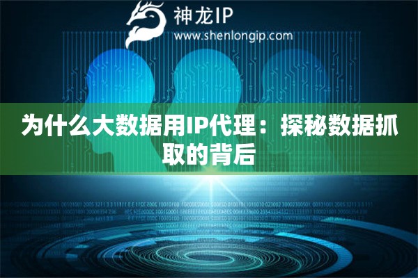 為什么大數(shù)據(jù)用IP代理：探秘數(shù)據(jù)抓取的背后