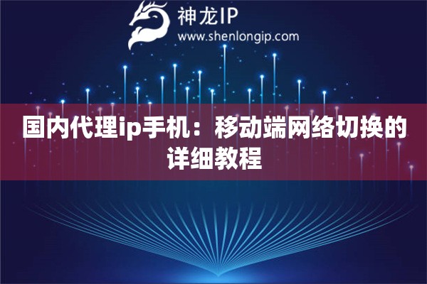 國(guó)內(nèi)代理ip手機(jī)：移動(dòng)端網(wǎng)絡(luò)切換的詳細(xì)教程