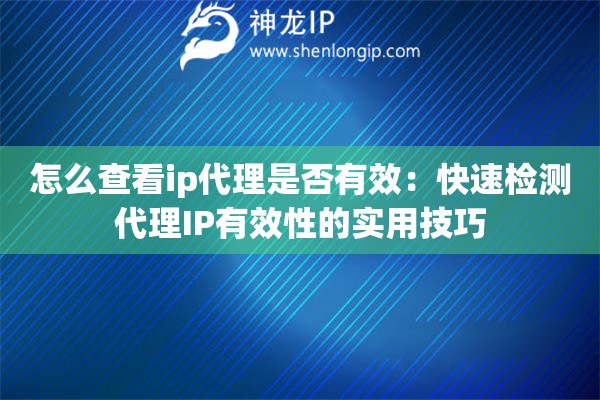 怎么查看ip代理是否有效：快速檢測代理IP有效性的實用技巧